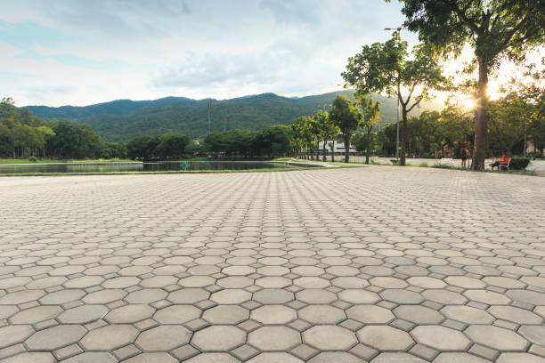 Best Driveway Pavers for Homes  in USA